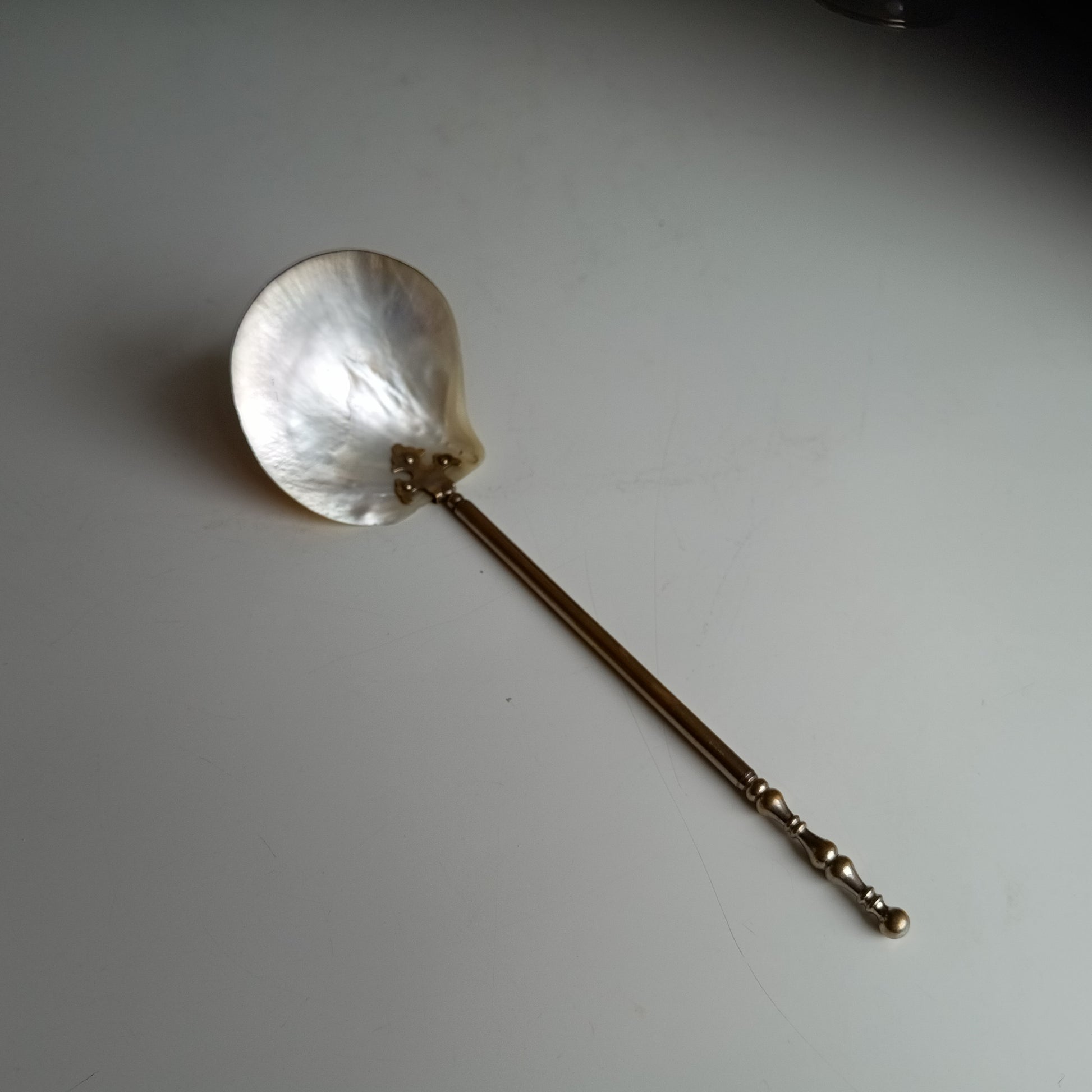 Art Nouveau Edwardian Mother of Pearl Caviar or Seafood Serving Shell Spoon with Decorative Handle 1900s