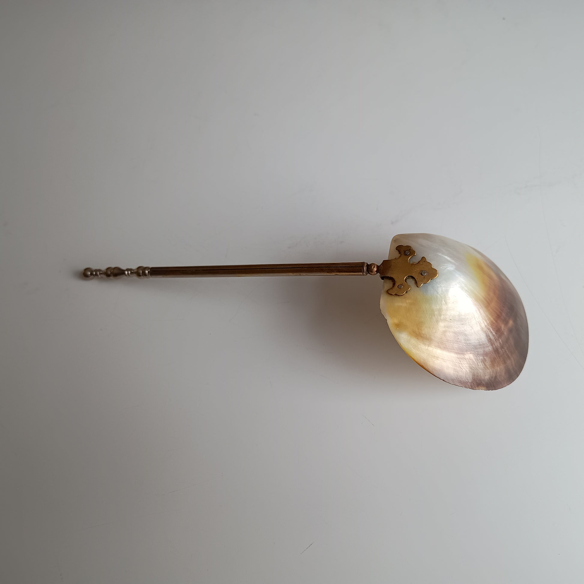 Art Nouveau Edwardian Mother of Pearl Caviar or Seafood Serving Shell Spoon with Decorative Handle 1900s