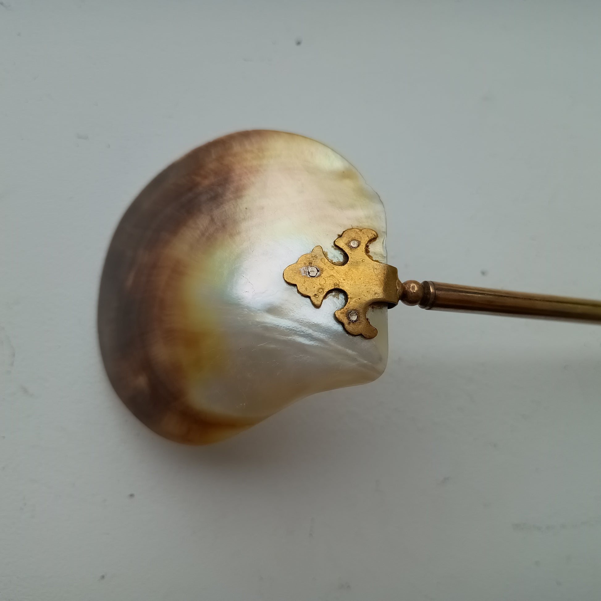 Art Nouveau Edwardian Mother of Pearl Caviar or Seafood Serving Shell Spoon with Decorative Handle 1900s