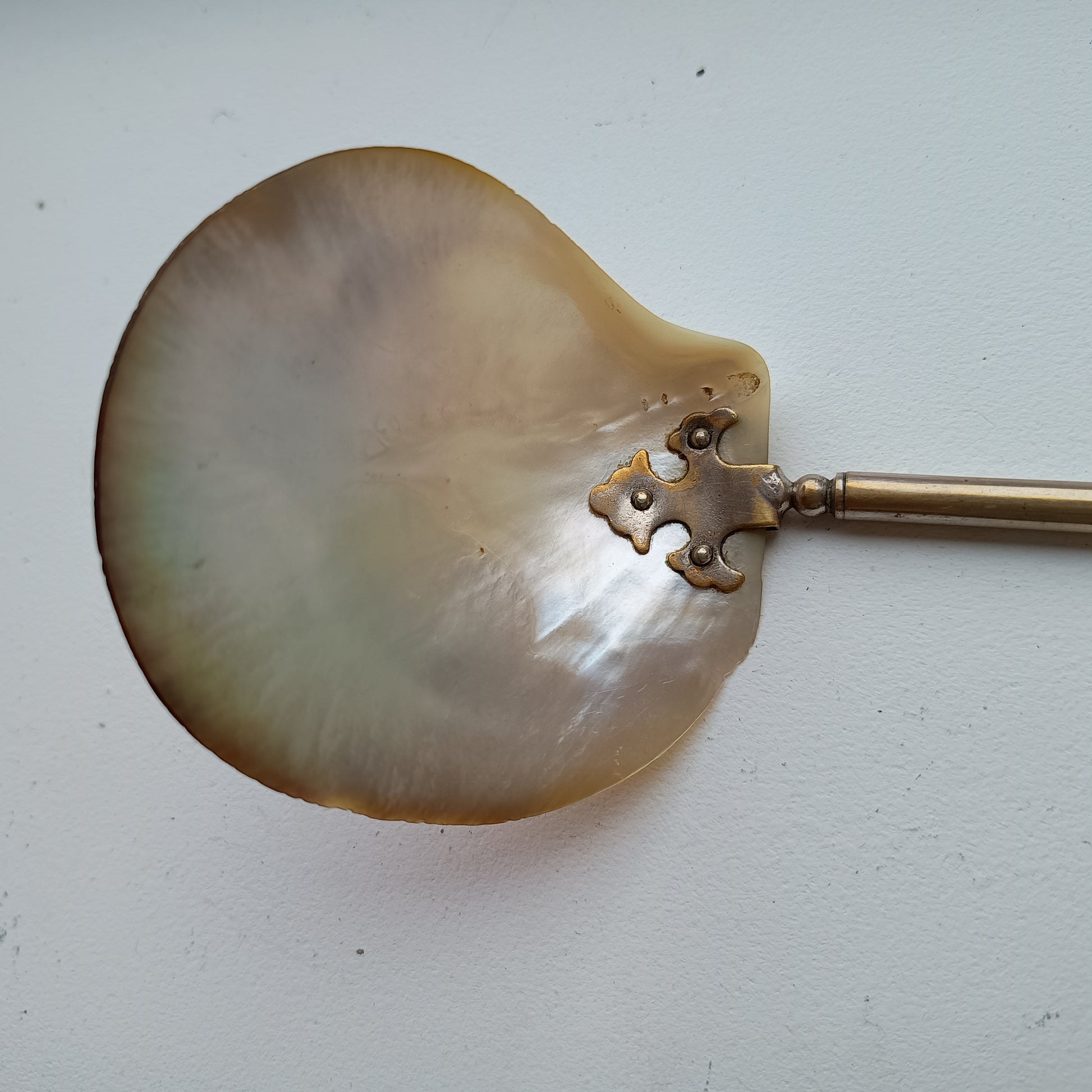 Art Nouveau Edwardian Mother of Pearl Caviar or Seafood Serving Shell Spoon with Decorative Handle 1900s