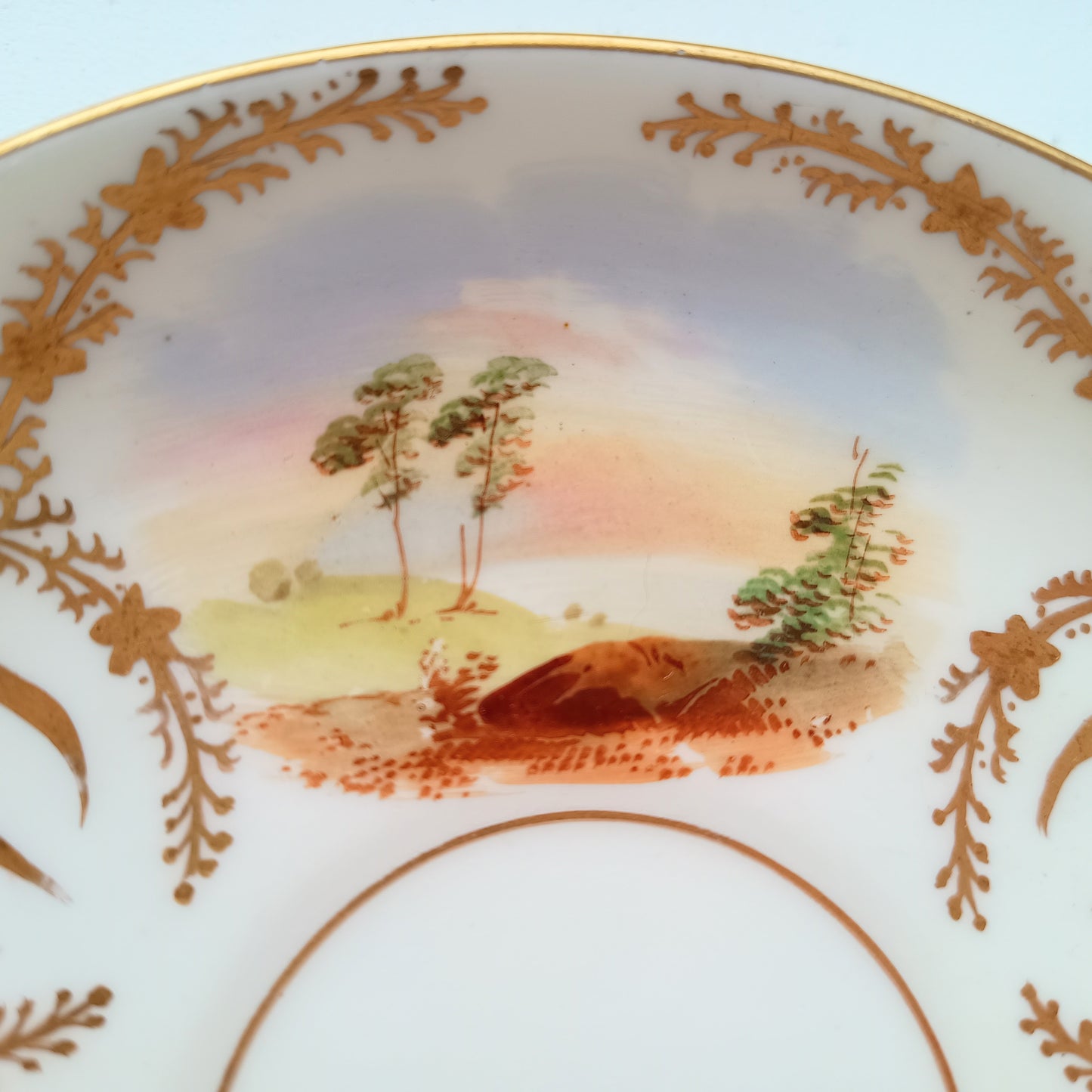 Antique Hand-Painted Landscape and Gilt Crests Porcelain Cup & Saucer, Austria 19th century