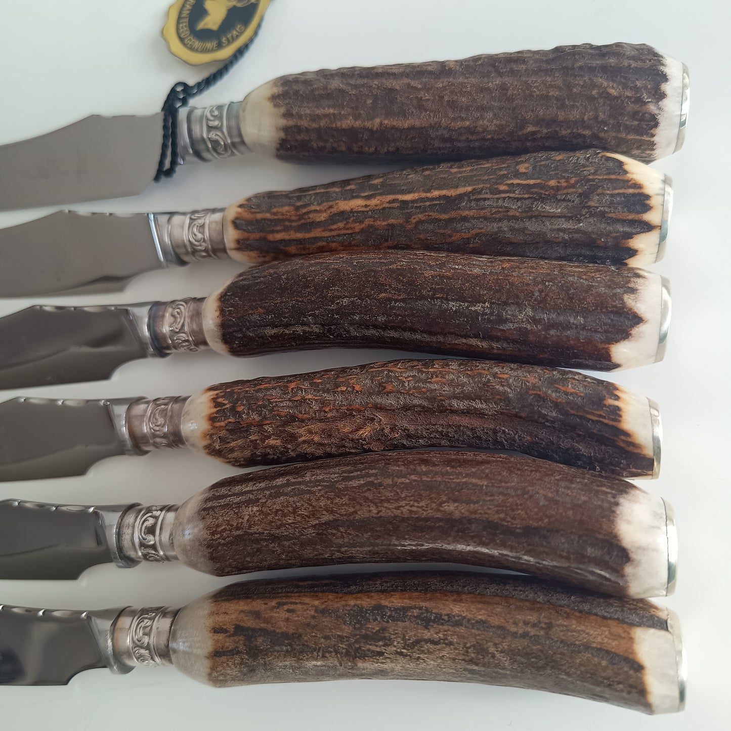 Mint Genuine Stag Handled Cased Steak Knives Set: Scalloped Spine, Back-work Notches, 1950s