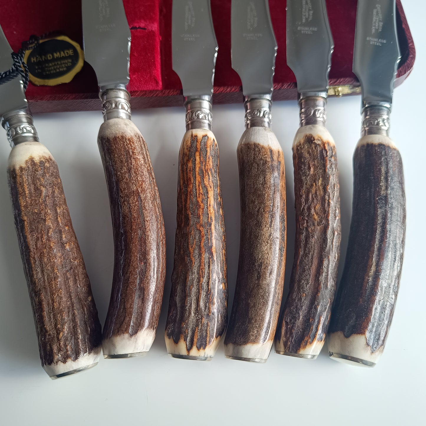 Mint Genuine Stag Handled Cased Steak Knives Set: Scalloped Spine, Back-work Notches, 1950s