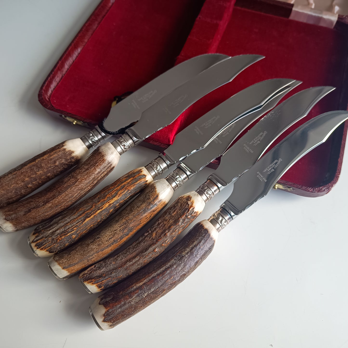 Mint Genuine Stag Handled Cased Steak Knives Set: Scalloped Spine, Back-work Notches, 1950s