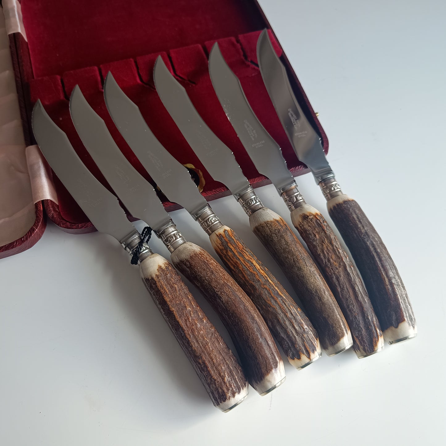 Mint Genuine Stag Handled Cased Steak Knives Set: Scalloped Spine, Back-work Notches, 1950s