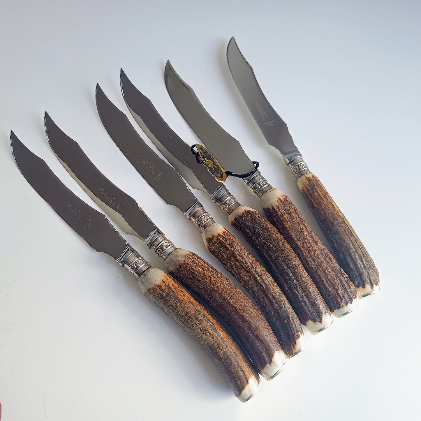 Mint Genuine Stag Handled Cased Steak Knives Set: Scalloped Spine, Back-work Notches, 1950s