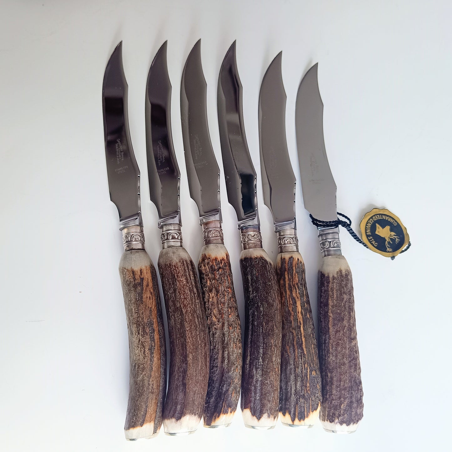 Mint Genuine Stag Handled Cased Steak Knives Set: Scalloped Spine, Back-work Notches, 1950s