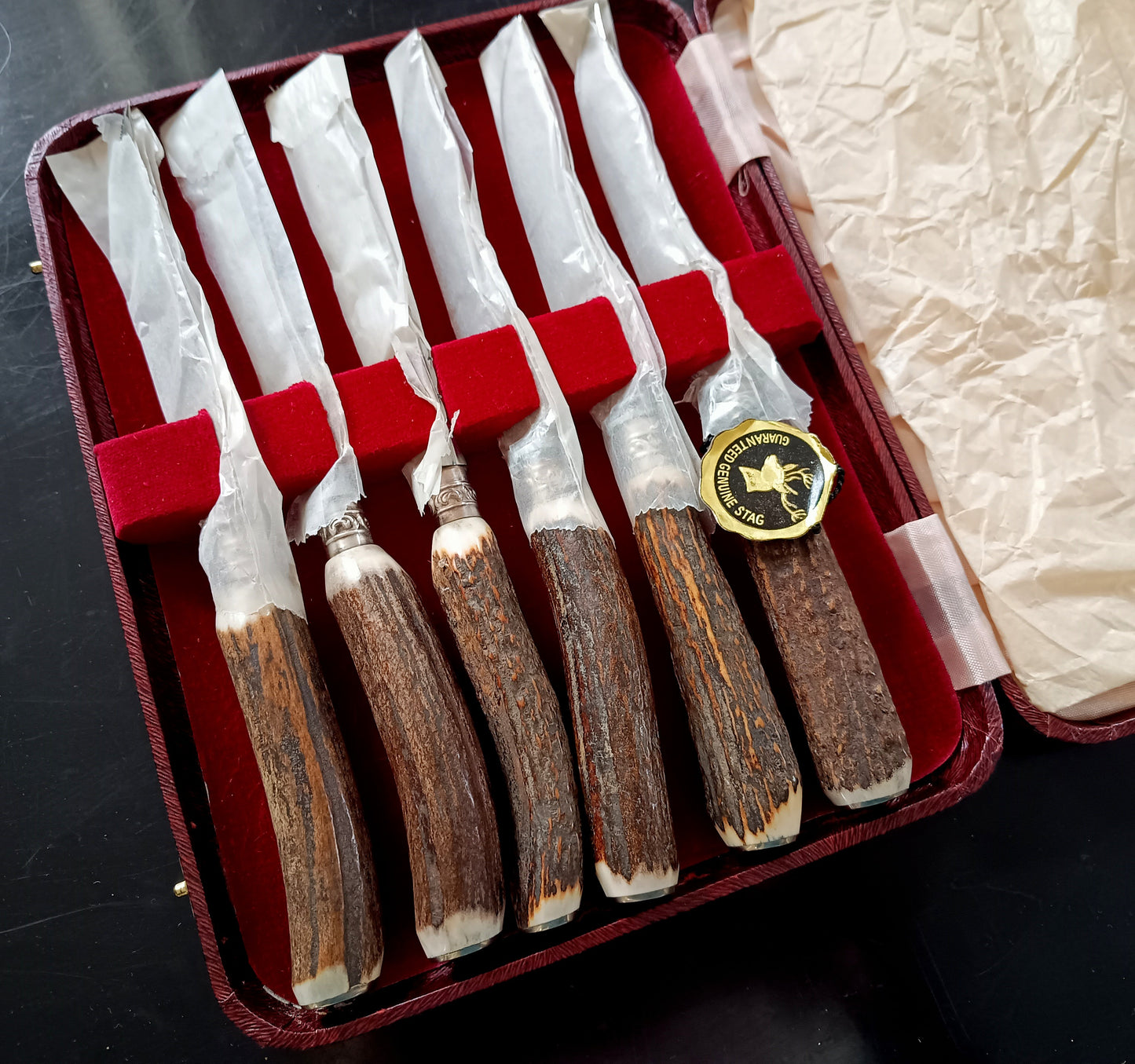 Mint Genuine Stag Handled Cased Steak Knives Set: Scalloped Spine, Back-work Notches, 1950s