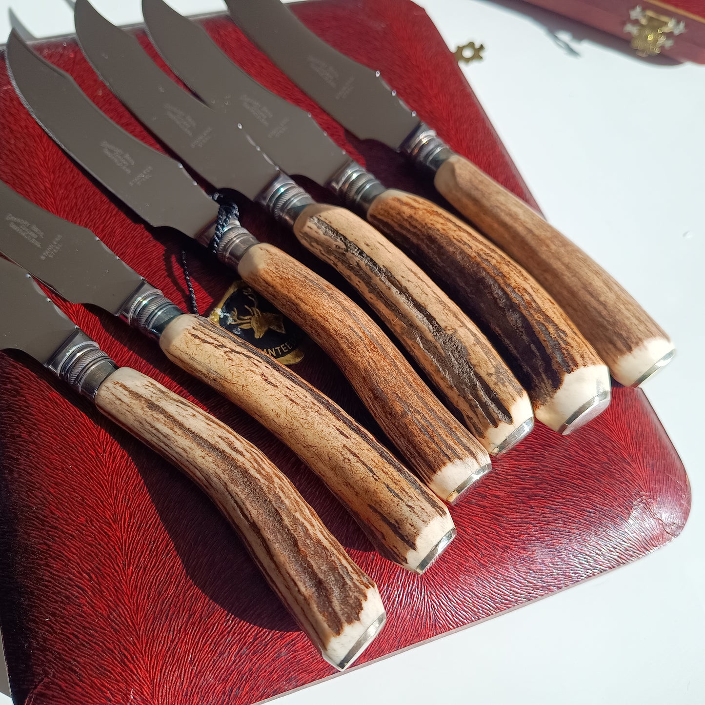 Genuine Stag Handled Cased Steak Forks and Knives Sets: Scalloped Spine, Back-work Notches, 1950s