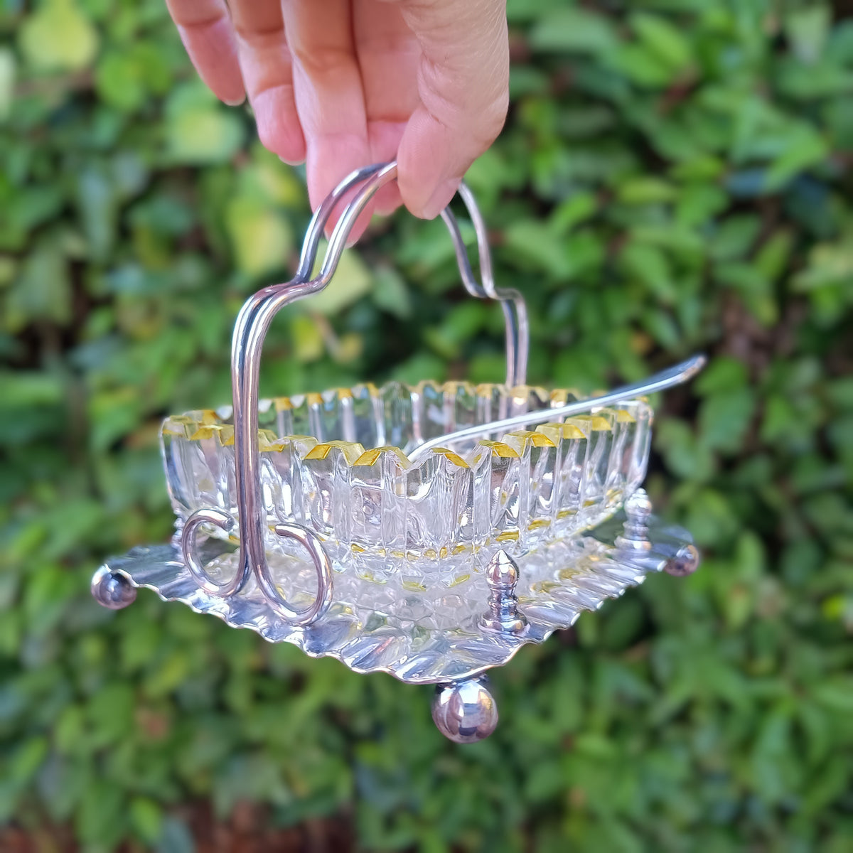 Antique Victorian Marmalade Server: Lemon and Clear Cut Crystal on Silver Plated Display