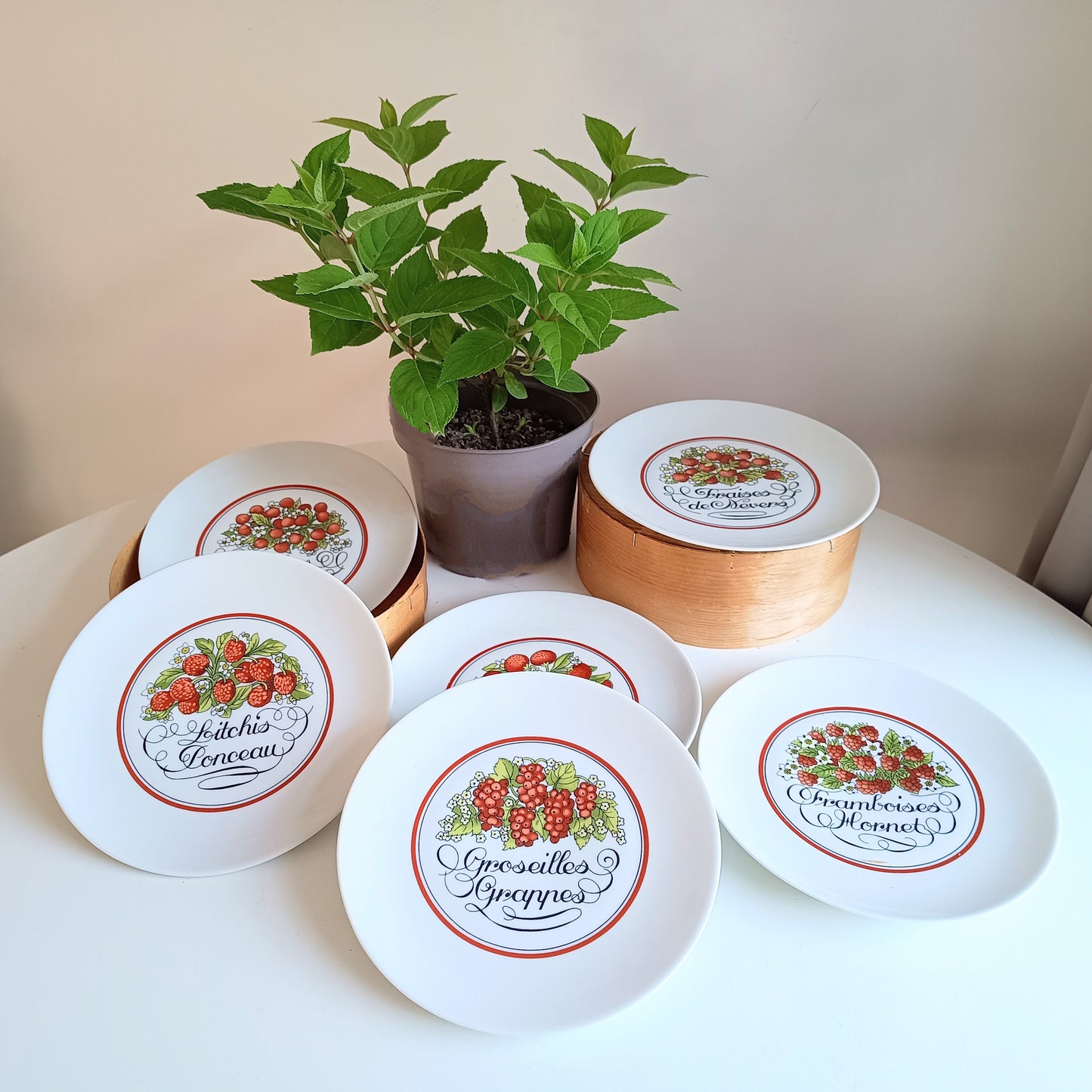 1970s Boxed French Vintage Porcelain Plates Red Fruits Porcelaine D'Auteuil