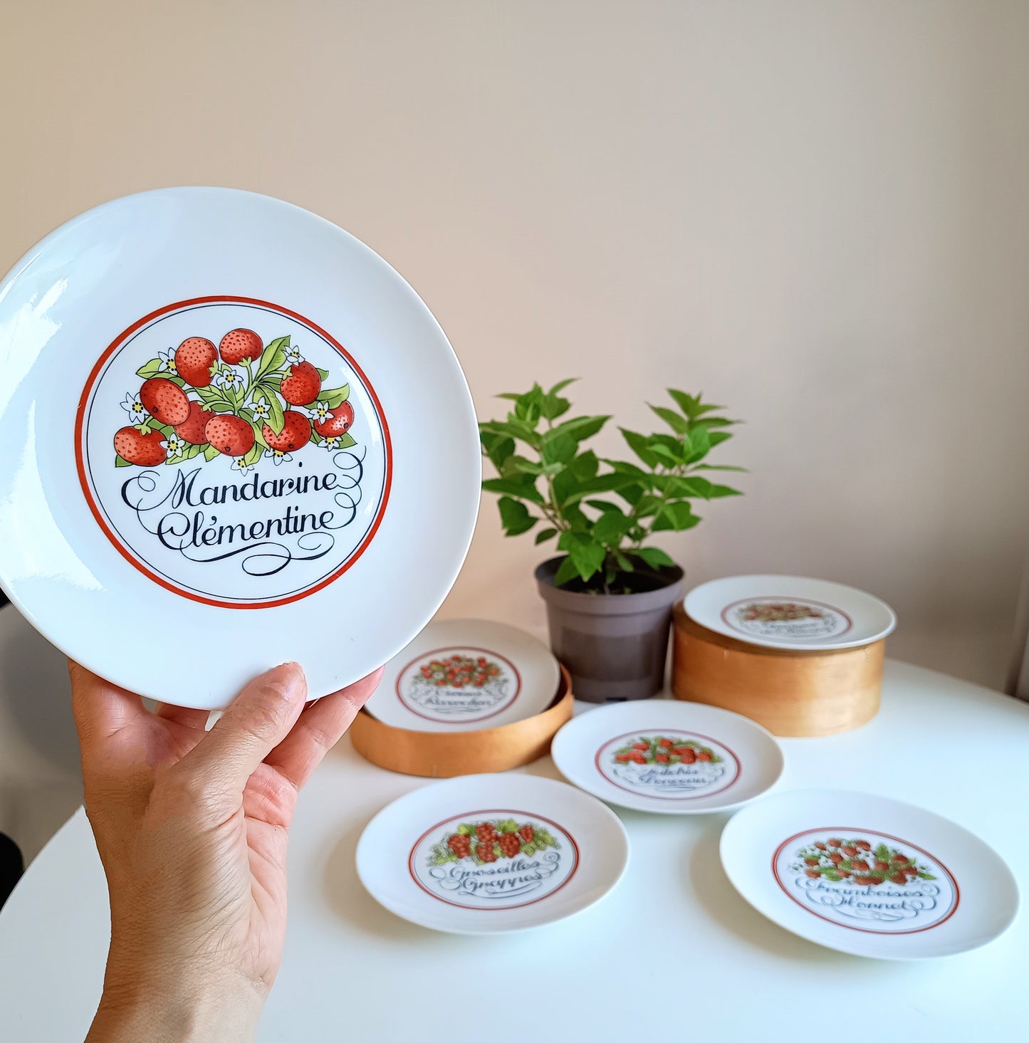 1970s Boxed French Vintage Porcelain Plates Red Fruits Porcelaine D'Auteuil